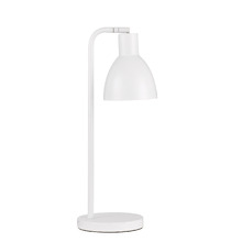 Pivot Iron Gooseneck Desk Lamp